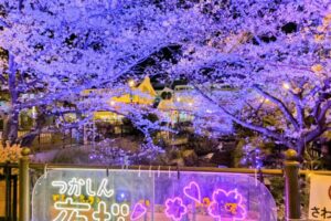 【お知らせ】4月の営業スケジュール★