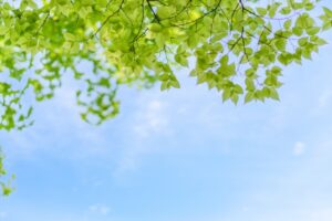 【お知らせ】ゴールデンウイークの営業スケジュール★